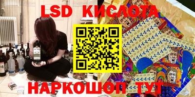 ГАЛЛЮЦИНОГЕННЫЕ ГРИБЫ Славгород
