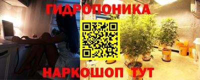 амф Славянск-на-Кубани