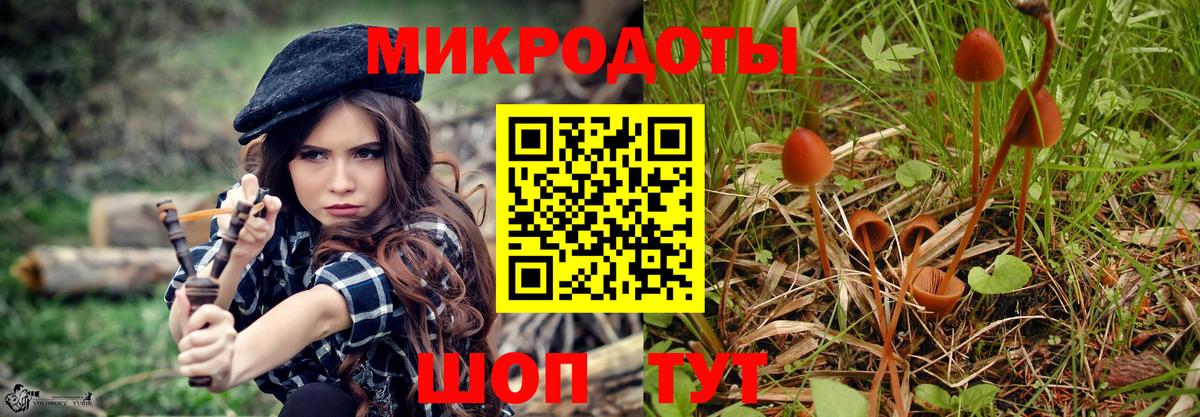 Псилоцибиновые грибы прущие грибы  Вход с VPN  Отрадное 